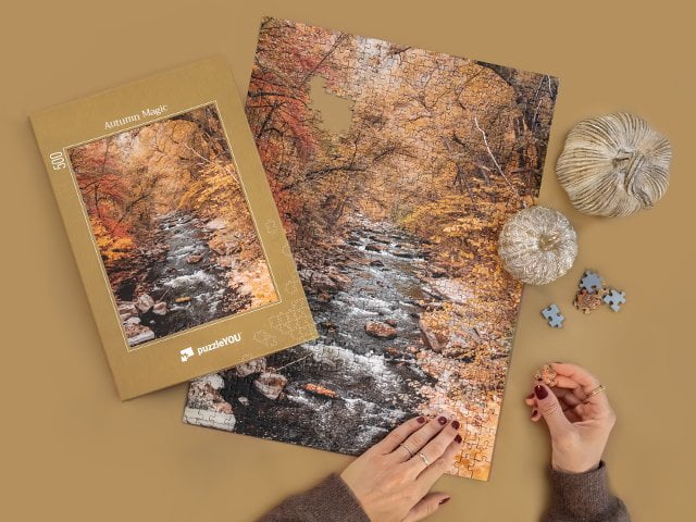 puzzleKOLEKCE