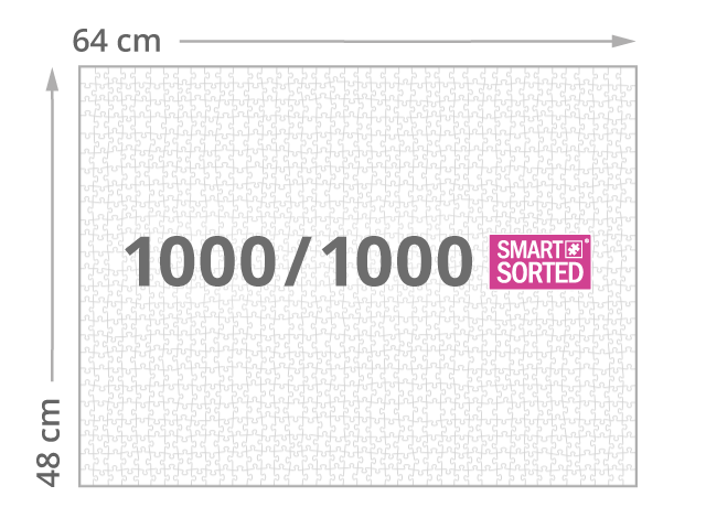 Složená velikost 1000 dílků / SMART SORTED